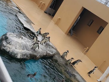 アクアワールド茨城県大洗水族館に投稿された画像（2022/10/17）