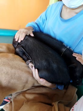 ワールド牧場に投稿された画像（2022/10/17）