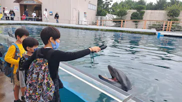 横浜・八景島シーパラダイスに投稿された画像（2022/10/17）