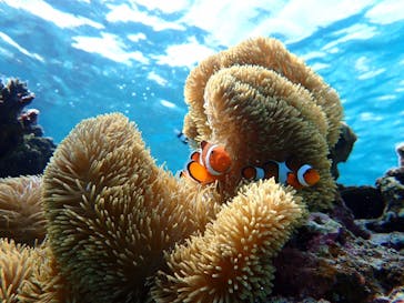 宮古島 ADVENTURE PiPi（ミヤコジマ アドベンチャー ピピ）に投稿された画像（2022/10/17）