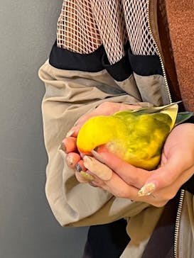 Moff animal cafe イオンモール幕張新都心店に投稿された画像（2022/10/17）