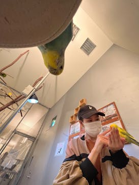 Moff animal cafe イオンモール幕張新都心店に投稿された画像（2022/10/17）