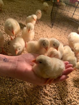 Moff animal cafe イオンモール幕張新都心店に投稿された画像（2022/10/17）