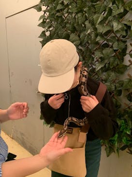 Moff animal cafe イオンモール幕張新都心店に投稿された画像（2022/10/17）