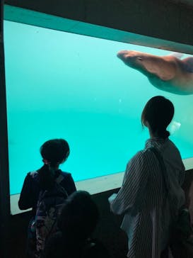 大分マリーンパレス水族館 「うみたまご」に投稿された画像（2022/10/17）