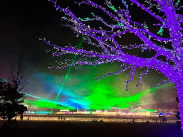 東京メガイルミに投稿された画像（2022/10/17）