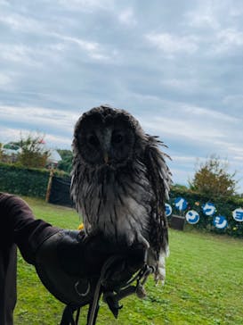 群馬サファリパークに投稿された画像（2022/10/17）