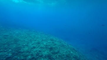 ベイクルーズ・宮古島 モンブランに投稿された画像（2022/10/17）