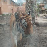 那須どうぶつ王国に投稿された画像（2022/10/18）