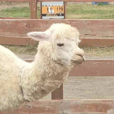 那須どうぶつ王国に投稿された画像（2022/10/18）