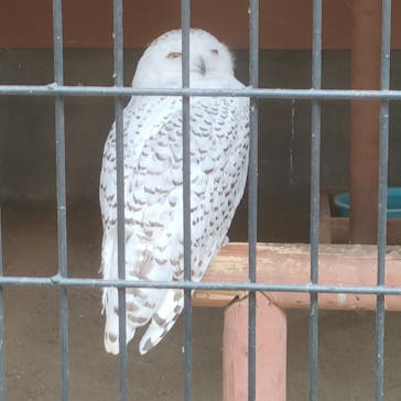 那須どうぶつ王国に投稿された画像（2022/10/18）