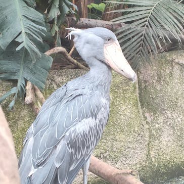 那須どうぶつ王国に投稿された画像（2022/10/18）