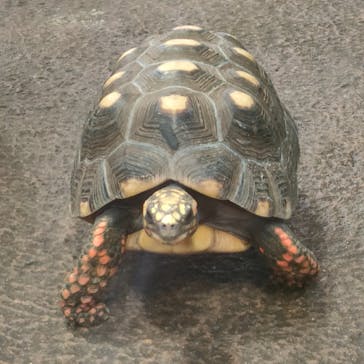 那須どうぶつ王国に投稿された画像（2022/10/18）