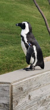 マリンワールド海の中道に投稿された画像（2022/10/18）