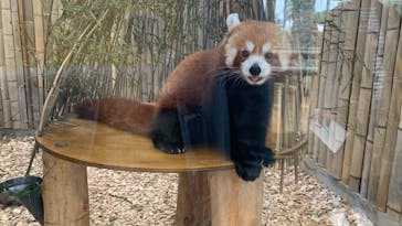 熱川バナナワニ園に投稿された画像（2022/10/18）