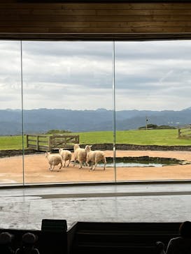 マザー牧場に投稿された画像（2022/10/18）