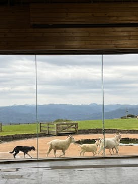 マザー牧場に投稿された画像（2022/10/18）