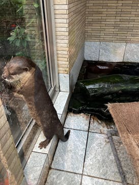 下田海中水族館に投稿された画像（2022/10/18）