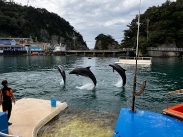 下田海中水族館に投稿された画像（2022/10/18）