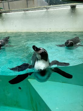 下田海中水族館に投稿された画像（2022/10/18）