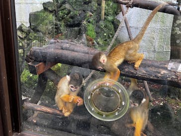 伊豆シャボテン動物公園に投稿された画像（2022/10/18）