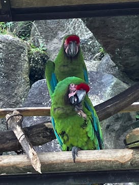 伊豆シャボテン動物公園に投稿された画像（2022/10/18）