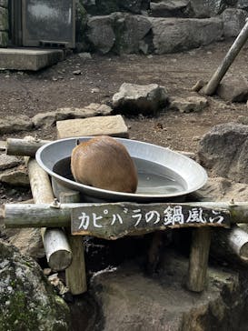 伊豆シャボテン動物公園に投稿された画像（2022/10/18）