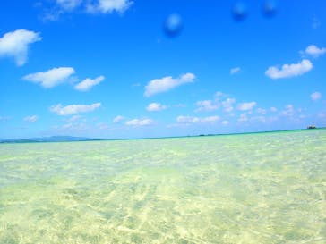 初心者専門マリンサービスサンフィッシュ石垣島に投稿された画像（2022/10/18）