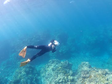 初心者専門マリンサービスサンフィッシュ石垣島に投稿された画像（2022/10/18）