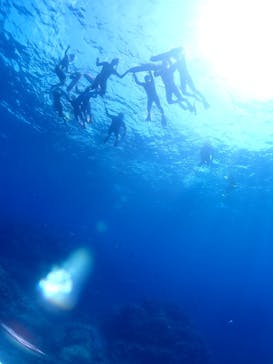 初心者専門マリンサービスサンフィッシュ石垣島に投稿された画像（2022/10/18）