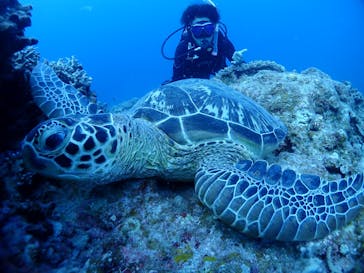 初心者専門マリンサービスサンフィッシュ石垣島に投稿された画像（2022/10/18）