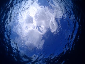 初心者専門マリンサービスサンフィッシュ石垣島に投稿された画像（2022/10/18）