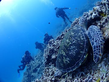 初心者専門マリンサービスサンフィッシュ石垣島に投稿された画像（2022/10/18）