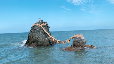 ゼロ距離水族館 伊勢シーパラダイスに投稿された画像（2022/10/18）