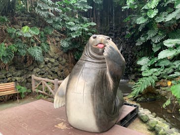 ゼロ距離水族館 伊勢シーパラダイスに投稿された画像（2022/10/18）