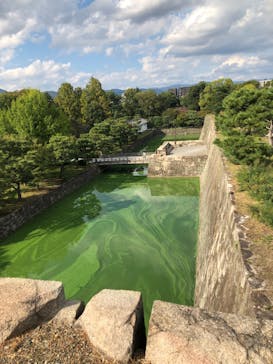 元離宮二条城に投稿された画像（2022/10/18）