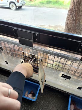 群馬サファリパークに投稿された画像（2022/10/18）