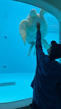 沖縄美ら海水族館に投稿された画像（2022/10/18）