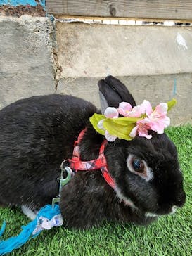 伊香保グリーン牧場に投稿された画像（2022/10/18）