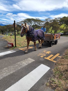 伊香保グリーン牧場に投稿された画像（2022/10/18）