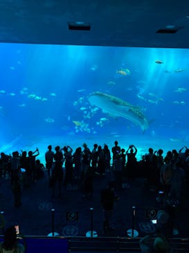 沖縄美ら海水族館に投稿された画像（2022/10/18）