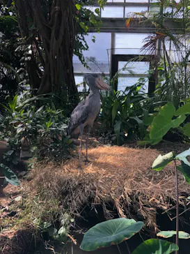 神戸どうぶつ王国に投稿された画像（2022/10/18）