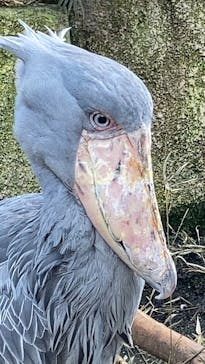 那須どうぶつ王国に投稿された画像（2022/10/18）