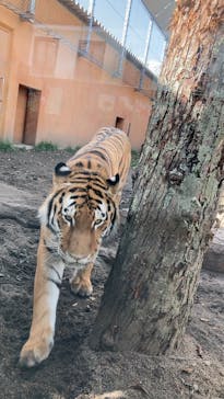 那須どうぶつ王国に投稿された画像（2022/10/18）