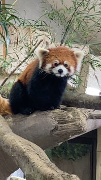 那須どうぶつ王国に投稿された画像（2022/10/18）