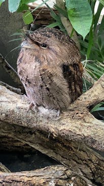 那須どうぶつ王国に投稿された画像（2022/10/18）