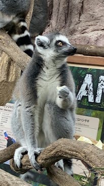 那須どうぶつ王国に投稿された画像（2022/10/18）