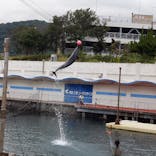 伊豆・三津シーパラダイスに投稿された画像（2022/10/18）