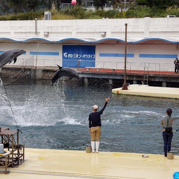 伊豆・三津シーパラダイスに投稿された画像（2022/10/18）