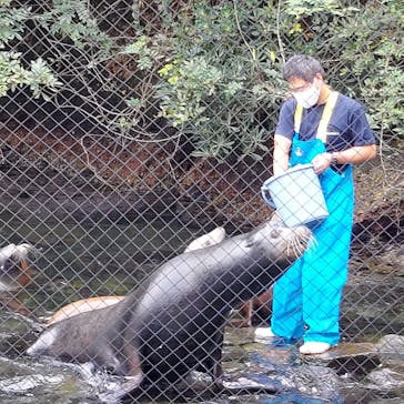 伊豆・三津シーパラダイスに投稿された画像（2022/10/18）